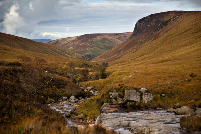 A Guide to Arran Wildlife | Arran Whisky