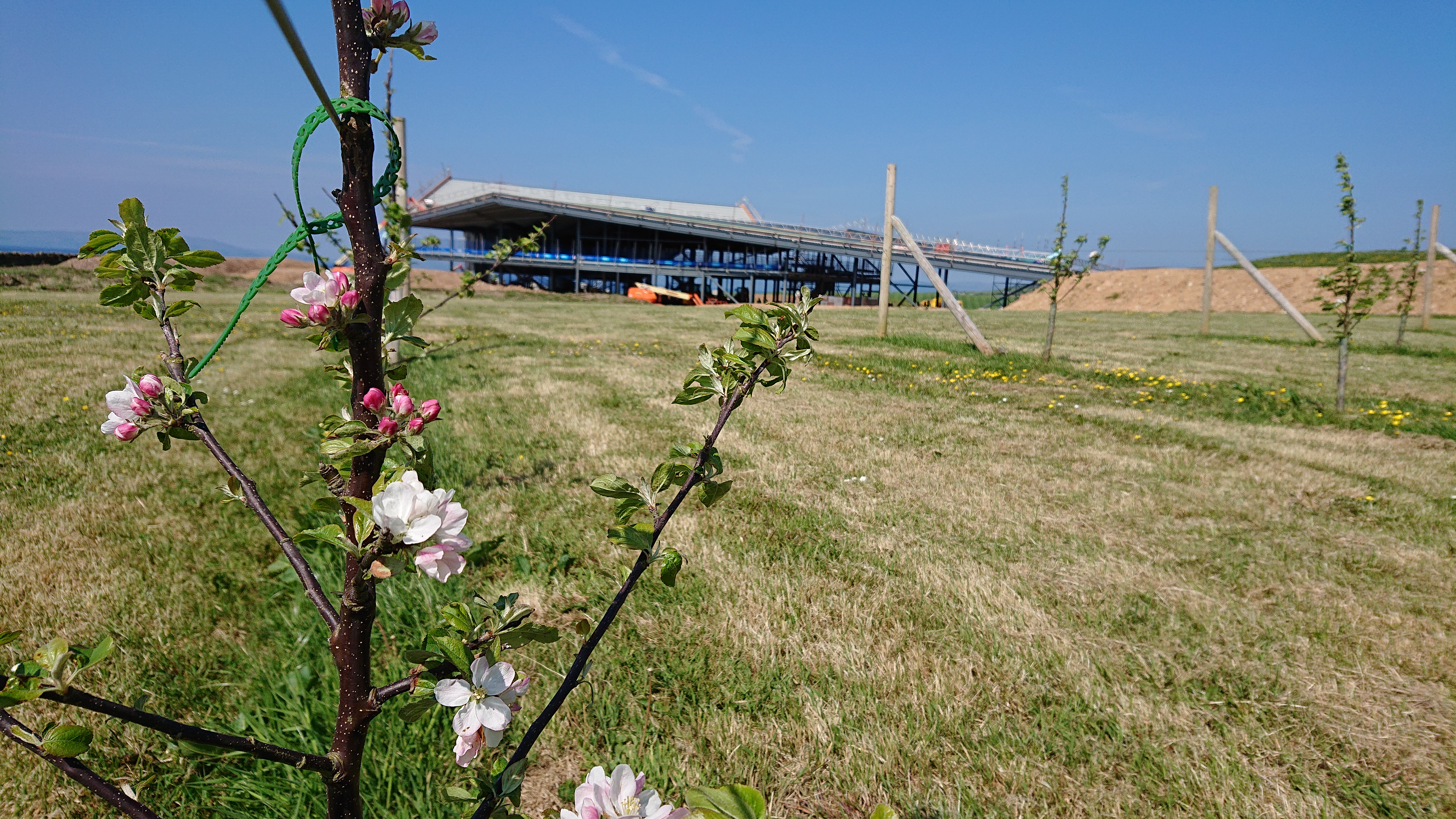 Lagg Distillery - June 2018