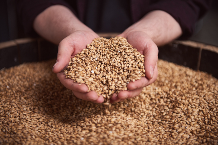 Barley