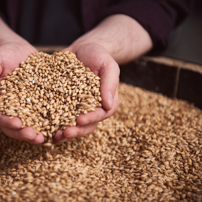 Luigidipasquale 016 listing rebrand